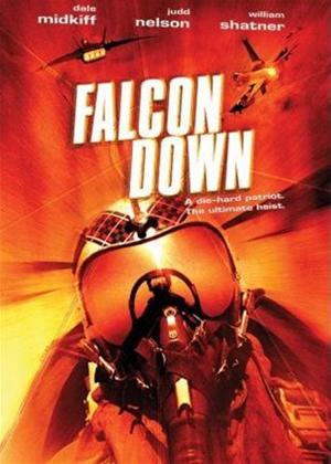 Rent Falcon Down Online DVD Rental