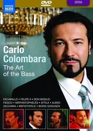 Rent Carlo Colombara: The Art of the Bass Online DVD Rental