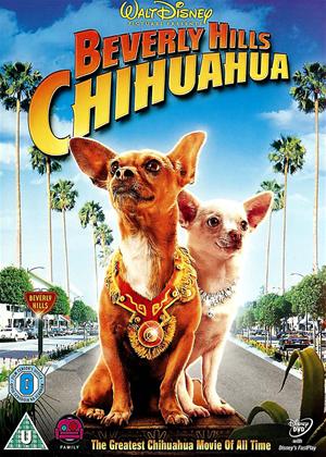 Rent Beverly Hills Chihuahua Online DVD Rental