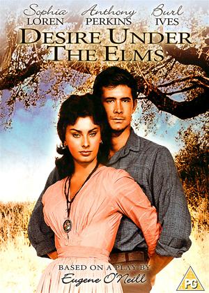 Rent Desire Under the Elms Online DVD Rental
