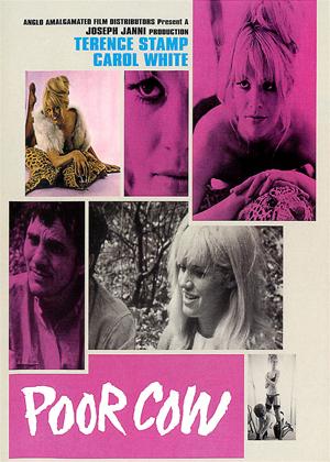 Rent Poor Cow Online DVD Rental