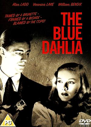 Rent The Blue Dahlia Online DVD Rental