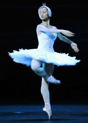 Rent Swan Lake: Royal Opera House Online DVD Rental