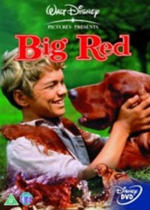 Rent Big Red Online DVD Rental