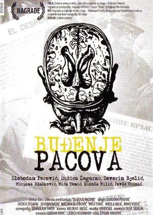 Rent The Rats Woke Up (aka Budjenje Pacova) Online DVD Rental