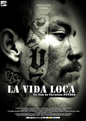 Rent La Vida Loca Online DVD Rental
