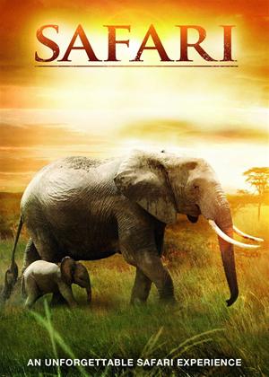 Rent Safari 3D Online DVD Rental