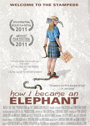 Rent How I Became an Elephant Online DVD Rental
