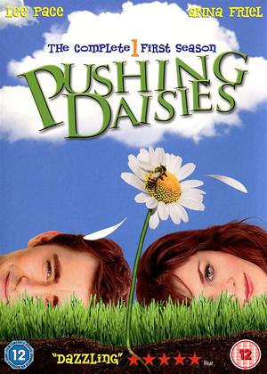 Rent Pushing Daisies: Series 1 Online DVD Rental