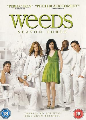 Rent Weeds: Series 3 Online DVD Rental