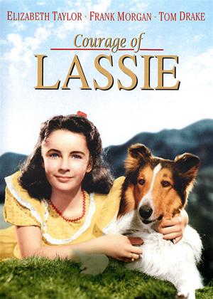 Rent Courage of Lassie Online DVD Rental