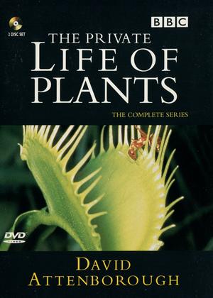 Rent The Private Life of Plants Online DVD Rental