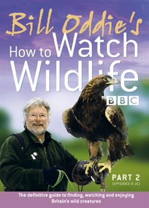 Rent Bill Oddie: How to Watch Wildlife: Part 2 Online DVD Rental