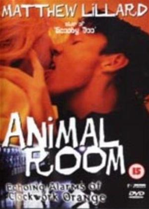 Rent Animal Room Online DVD Rental