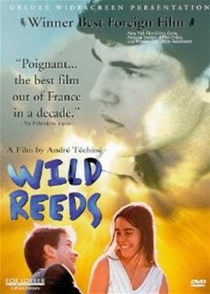 Rent Wild Reeds (aka Les roseaux sauvages) Online DVD Rental