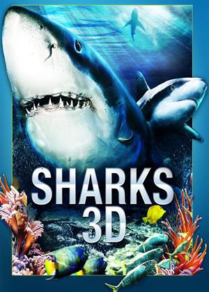 Rent Sharks Online DVD Rental