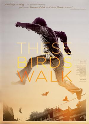 Rent These Birds Walk Online DVD Rental