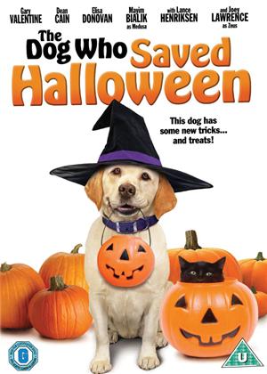 Rent The Dog Who Saved Halloween Online DVD Rental