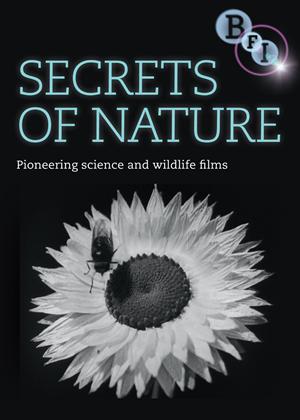Rent Secrets of Nature Online DVD Rental