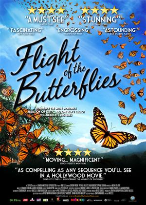 Rent Flight of the Butterflies Online DVD Rental