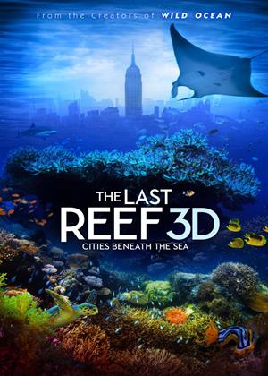 Rent The Last Reef Online DVD Rental