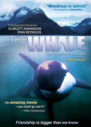 Rent The Whale Online DVD Rental