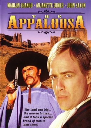 Rent The Appaloosa Online DVD Rental