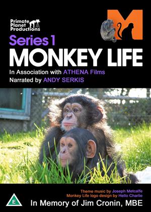 Rent Monkey Life: Series 1 Online DVD Rental