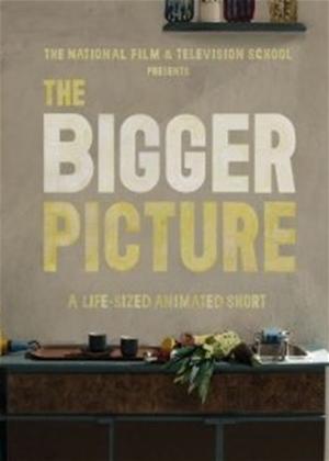 Rent The Bigger Picture Online DVD Rental