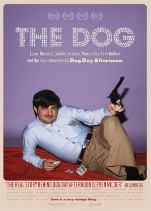 Rent The Dog Online DVD Rental