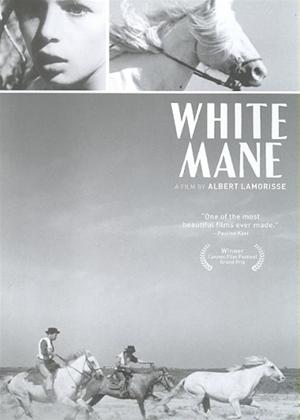 Rent White Mane (aka Crin blanc: Le cheval sauvage) Online DVD Rental