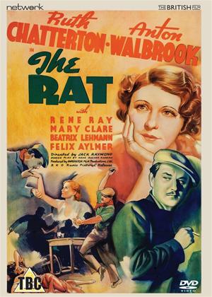 Rent The Rat Online DVD Rental