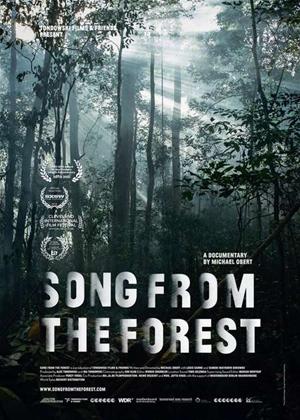 Rent Song from the Forest Online DVD Rental