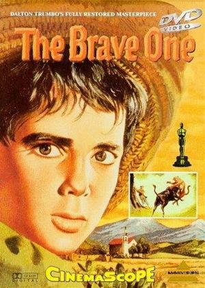 Rent The Brave One Online DVD Rental