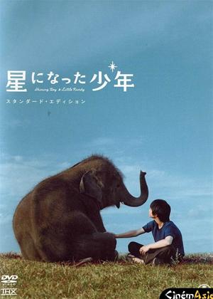 Rent Shining Boy and Little Randy (aka Hoshi ni natta shônen) Online DVD Rental