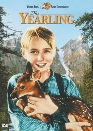 Rent The Yearling Online DVD Rental