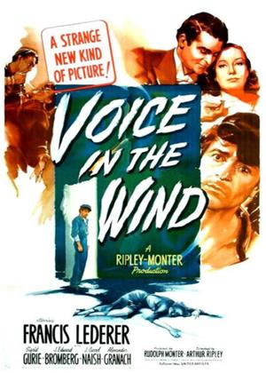 Rent Voice in the Wind Online DVD Rental