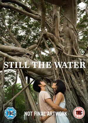 Rent Still the Water (aka Futatsume no mado) Online DVD Rental