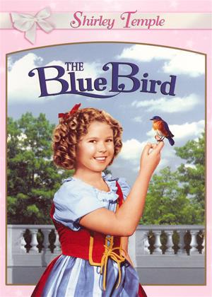 Rent The Blue Bird Online DVD Rental