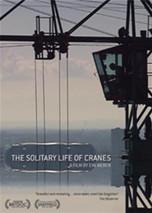 Rent The Solitary Life of Cranes Online DVD Rental