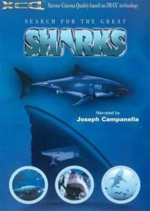 Rent Search for the Great Sharks Online DVD Rental