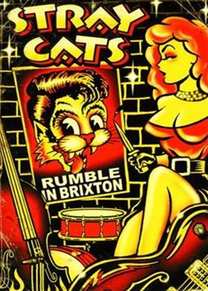 Rent Stray Cats: Rumble in Brixton Online DVD Rental