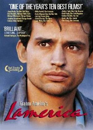 Rent Lamerica Online DVD Rental