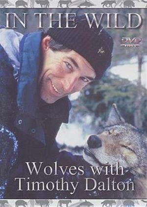 Rent In the Wild: Wolves Online DVD Rental