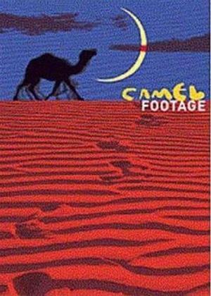 Rent Camel Footage Online DVD Rental