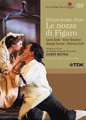 Rent Mozart: Le Nozze Di Figaro: Fiorentino Orchestra Online DVD Rental