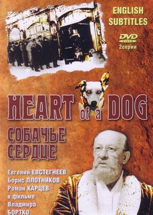Rent Heart of a Dog (aka Sobachye serdtse) Online DVD Rental