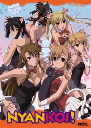Rent Nyan Koi!: Collection (aka Nyankoi!) Online DVD Rental