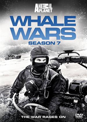 Rent Whale Wars: Series 7 Online DVD Rental