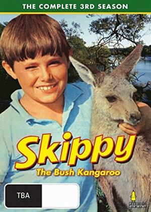 Rent Skippy the Bush Kangaroo: Series 3 Online DVD Rental